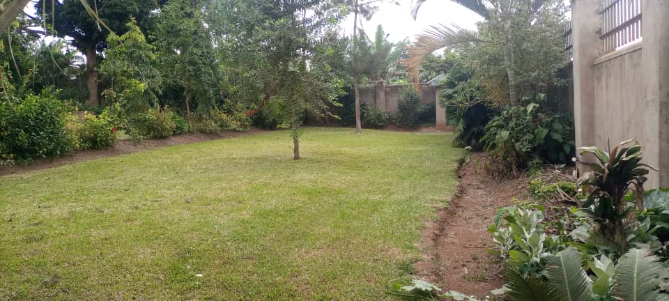 WhatsApp Image 2021-08-15 at 5.30.24 PM.jpeg